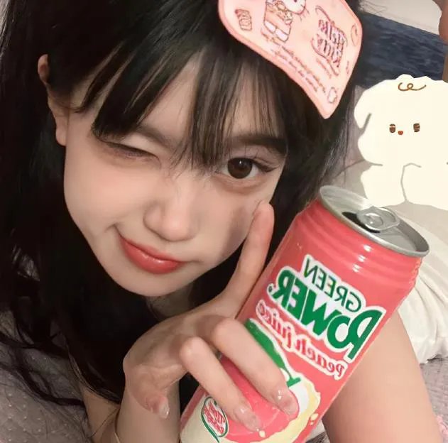 巅峰拍档第十七季